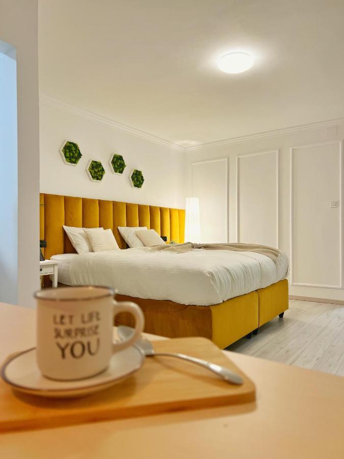 Studio 118 - A Luxury Place,10Min Walk To City Center Тимишоара Экстерьер фото