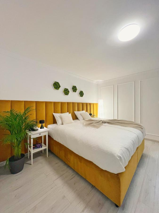 Studio 118 - A Luxury Place,10Min Walk To City Center Тимишоара Экстерьер фото